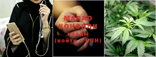 крисы Новозыбков