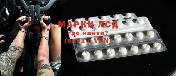 крисы Новозыбков