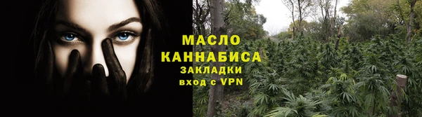 крисы Новозыбков