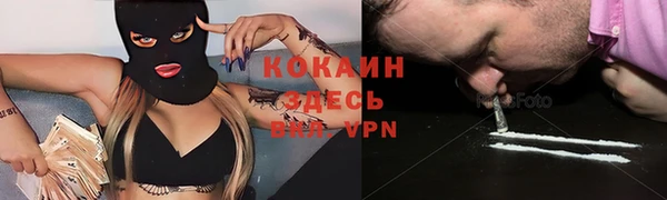 крисы Новозыбков