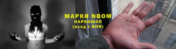 прущие грибы Домодедово