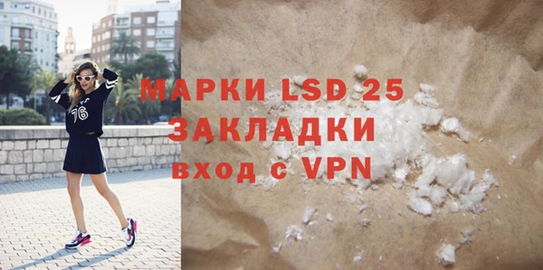 крисы Новозыбков