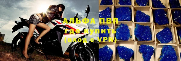 прущие грибы Домодедово