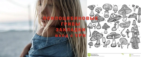 герыч Новодвинск