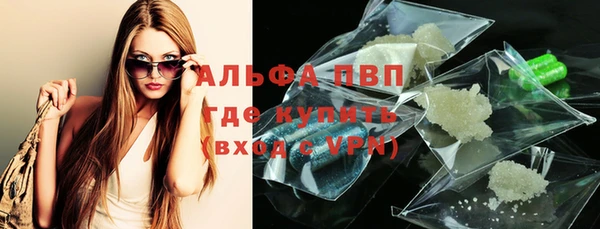 крисы Новозыбков
