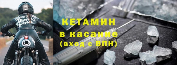 крисы Новозыбков