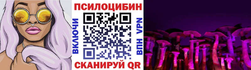 Псилоцибиновые грибы Psilocybe  МЕГА ссылка  Ясный 
